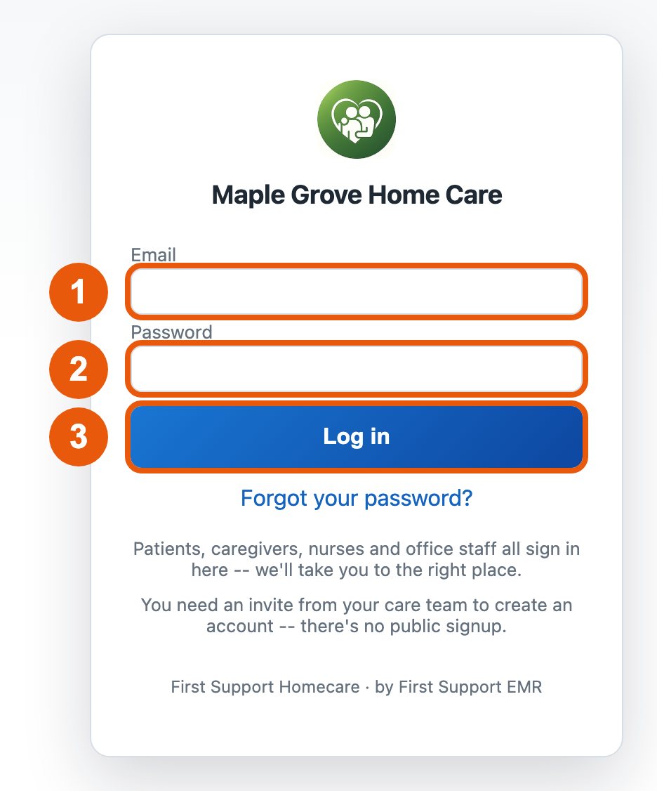 The login page with the Email box, Password box and Log in button numbered 1, 2 and 3